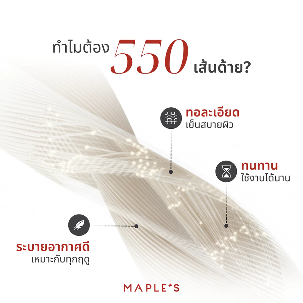 MAPLE S ผ้าปูที่นอนรัดมุม รุ่น Solid/Jacquard กันไรฝุ่น สูง 6-10 นิ้ว thumbnail 7