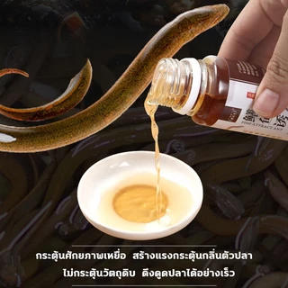 🔥จับได้เร็ว🔥ล่อปลาไหล(500ML) หัวเชื้อตกปลาไหลนา ดึงดูดปลา จับปลาไหลเร็ว สำหรับปลาไหล สิ่งล่อใจที่แข็งแกร่ง สูตรอัพเกรจ