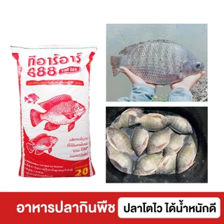 TRR 888 อาหารปลากินพืช ทีอาร์อาร์ เม็ดใหญ่ โปรตีน 15.5% อาหารปลานิล ปลาชะโด ปลาบึก ปลาสวาย ขนาด 20 kg.