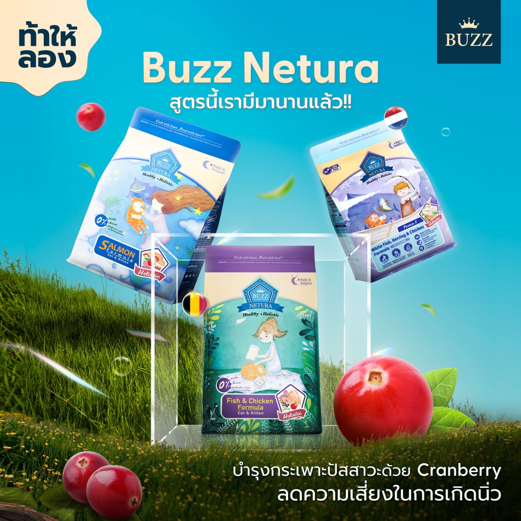 Buzz Netura อาหารแมว Holistic บัซซ์ สูตร โฮลิสติก เกรนฟรี แมวโต ลูกแมว ทุกช่วงวั