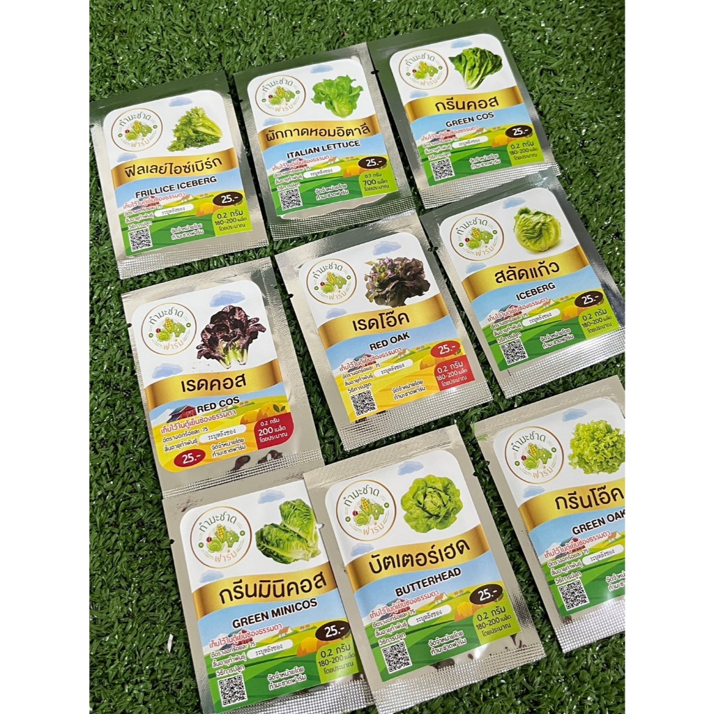 เมล็ดพันธุ์ผักสลัดประมาณ 200 เมล็ด ทำมะชาดฟาร์ม การันตีอัตราการงอก ** 10ฟรี1**