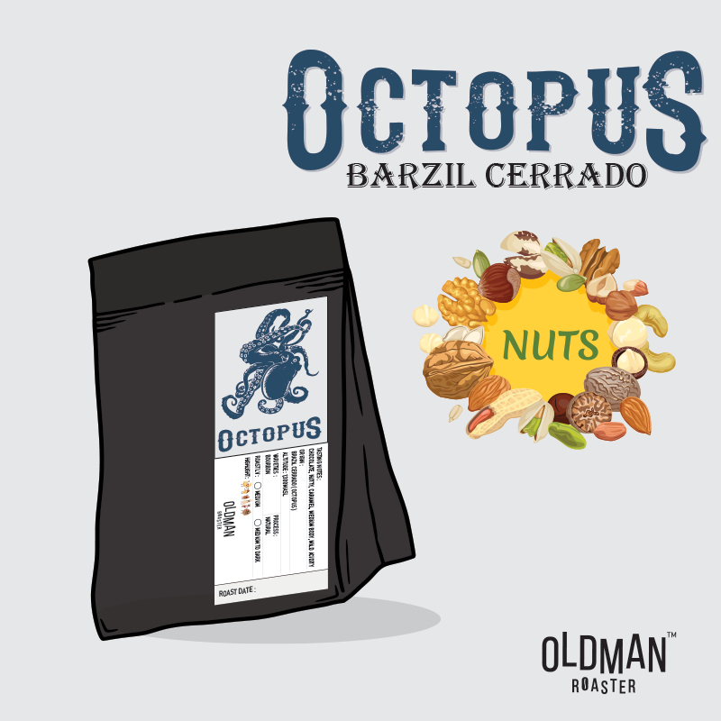 เมล็ดกาแฟ BRAZIL CERRADO ( OCTOPUS ) by OLDMAN ROASTER