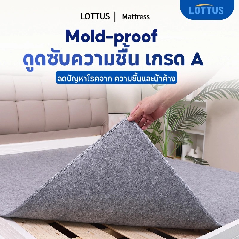 LOTTUS แผ่นรองกันชื้นที่นอน โรคราน้ําค้าง-Proof Felt ลดปัญหาโรคจาก ความชื้นและน้ำค้าง กันชื้น ระบายอากาศ แห้งไว