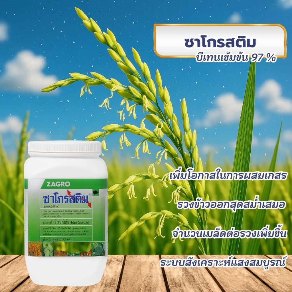 ซาโกรสติม ปรับสมดุลพืชให้ทนหนาว ทนร้อน ให้พืชต้านทานอากาศแปรปรวน