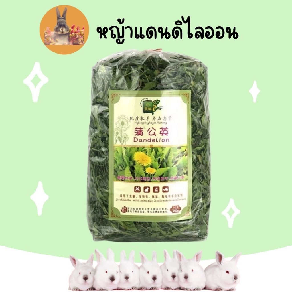 ใบแดนดิไลออนอบแห้ง (Dandelion leaves )เขียว กรอบ สำหรับแก๊สบี้ กระต่าย สัตว์ฟันแทะ (50 กรัม)