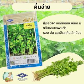 คึ่นฉ่าย CT/OP-072 ผักซอง เจียไต๋ เมล็ดพันธุ์ผัก ขึ้นฉ่าย เม…