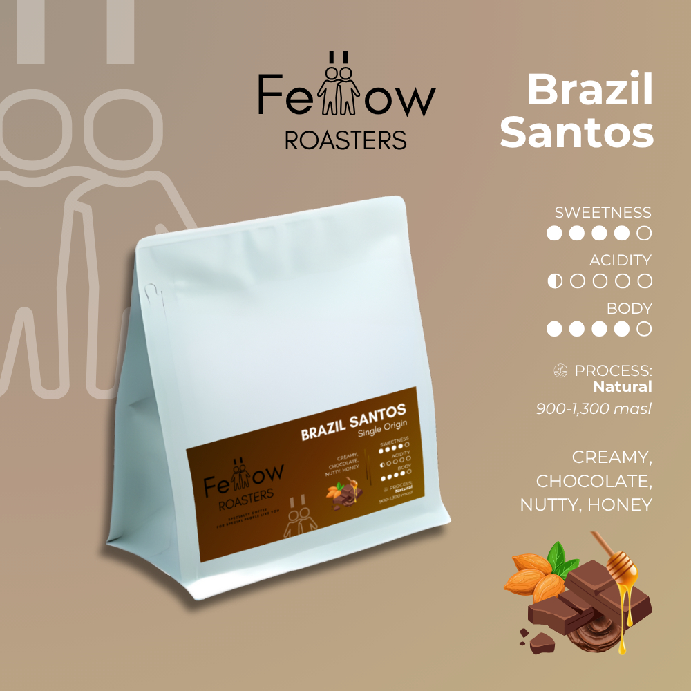 FELLOW ROASTERS Brazil Santos NY2/ 3 FC (Natural) | เมล็ดกาแฟคั่ว (100% Arabica) Nutty Chocolate Cre