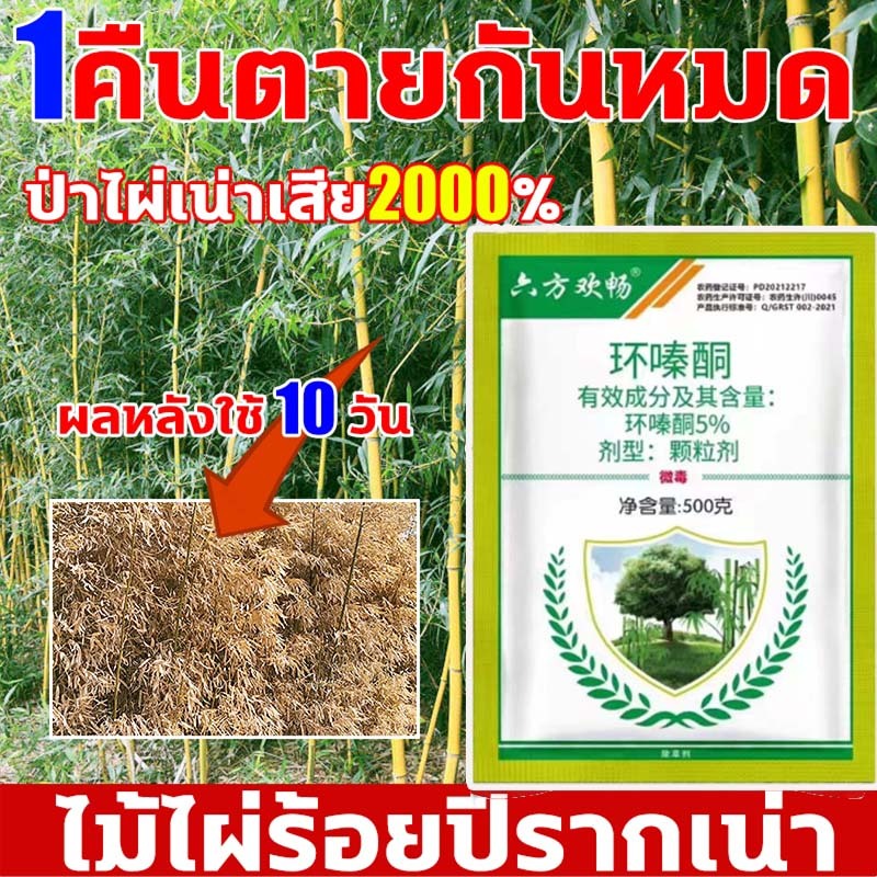 💥100% รากไม้เน่า💥 สารกำจัดวัชพืช ยาฆ่ากอไผ่ ยาฆ่าต้นไม้ใหญ500g  ผงกำจัดต้น กำจัดวัชพืชรากเน่า สูตรเข้มข้น บอกลาการตัดต้