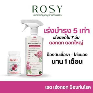 Rosy เซ็ทคู่หูยาเม็ดฝังดิน + สเปรย์ [เลือกสูตรได้] คุมโรคและแมลงนาน 1 เดือน เพลี้ยไฟ เชื้อรา บำรุงกุหลาบ ปุ๋ยกุหลาบ