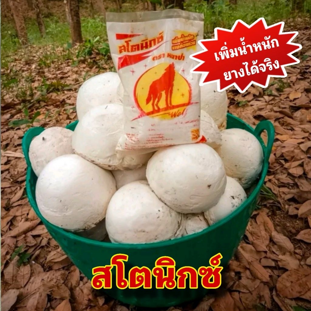 สโตนิกซ์ ตราหมาป่า สารเพิ่มน้ำหนักยาง แข็งตัวไว เนียนสวย ช่วยเพิ่มคุณภาพของขี้ยาง  ใช้ผสมกับน้ำกรดเจือจาง (1 กิโลกรัม) - รูปที่ 5