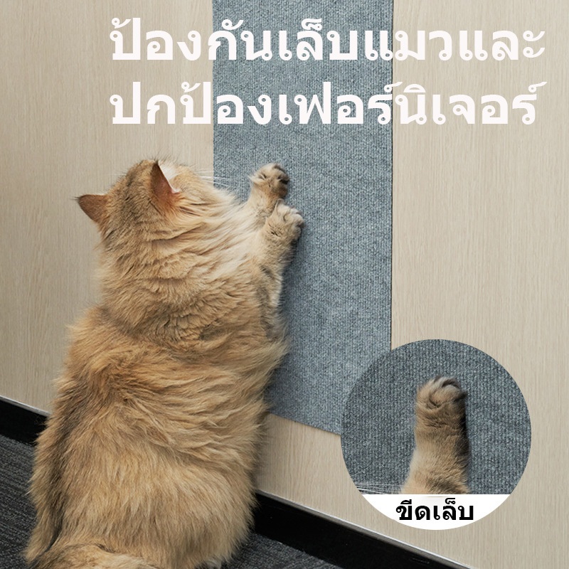 ✨แผ่นขีดเล็บแมว ติดได้ทุกที่ ติดแล้วยังไม่ทิ้งรอย อายุการใช้งานยาวนาน ราคาถูก Shopee Lazada