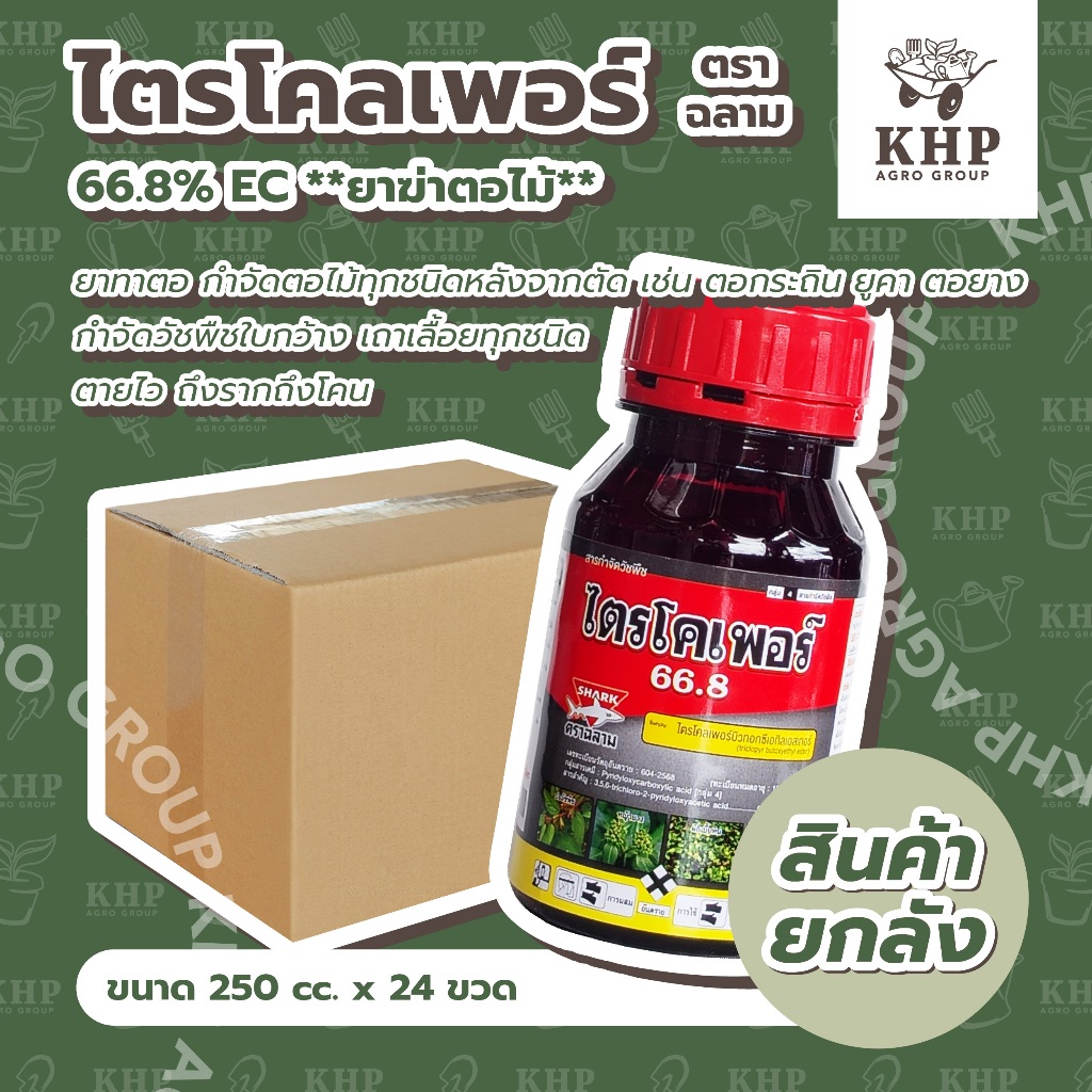 ราคาส่ง ยกลัง x 24 ขวด ยาฆ่าตอไม้ ตราฉลาม 250 cc. ตอไม้ทุกชนิด ตอกระถิน ยูคา ตอยาง หญ้าใบกว้าง เถาเลื้อยฯ ไตรโคลเพอร์