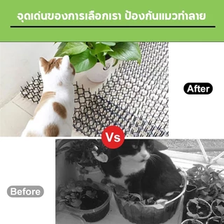 PETLUSCI หนามไล่แมว มี 2 ขนาด ไล่นก ไล่แมว ไล่จิ้งจก หนามไล่นก หนามแมว สามารถตัดได้ ไม่แตกหักเมื่องอ