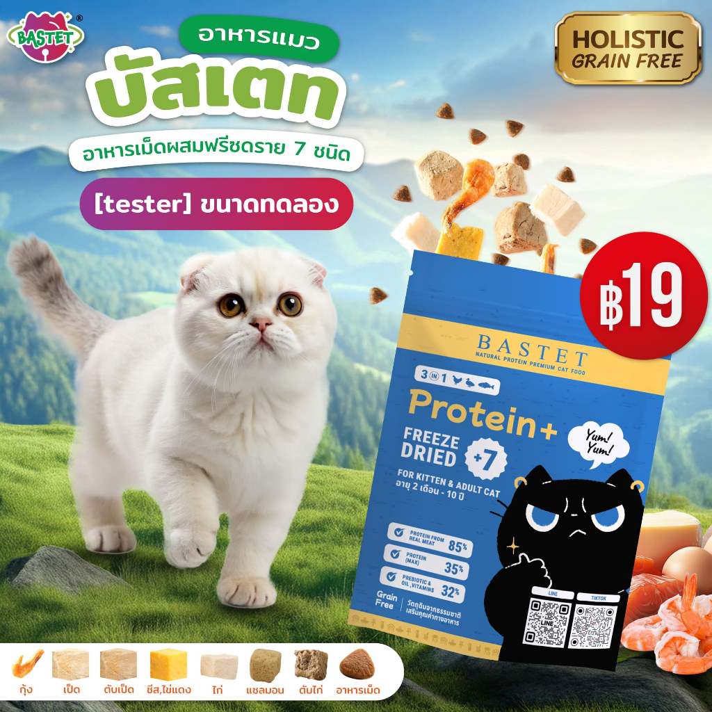BASTETอาหารแมวขนาดพกพา ขนาด 50 กรัม Travel trip