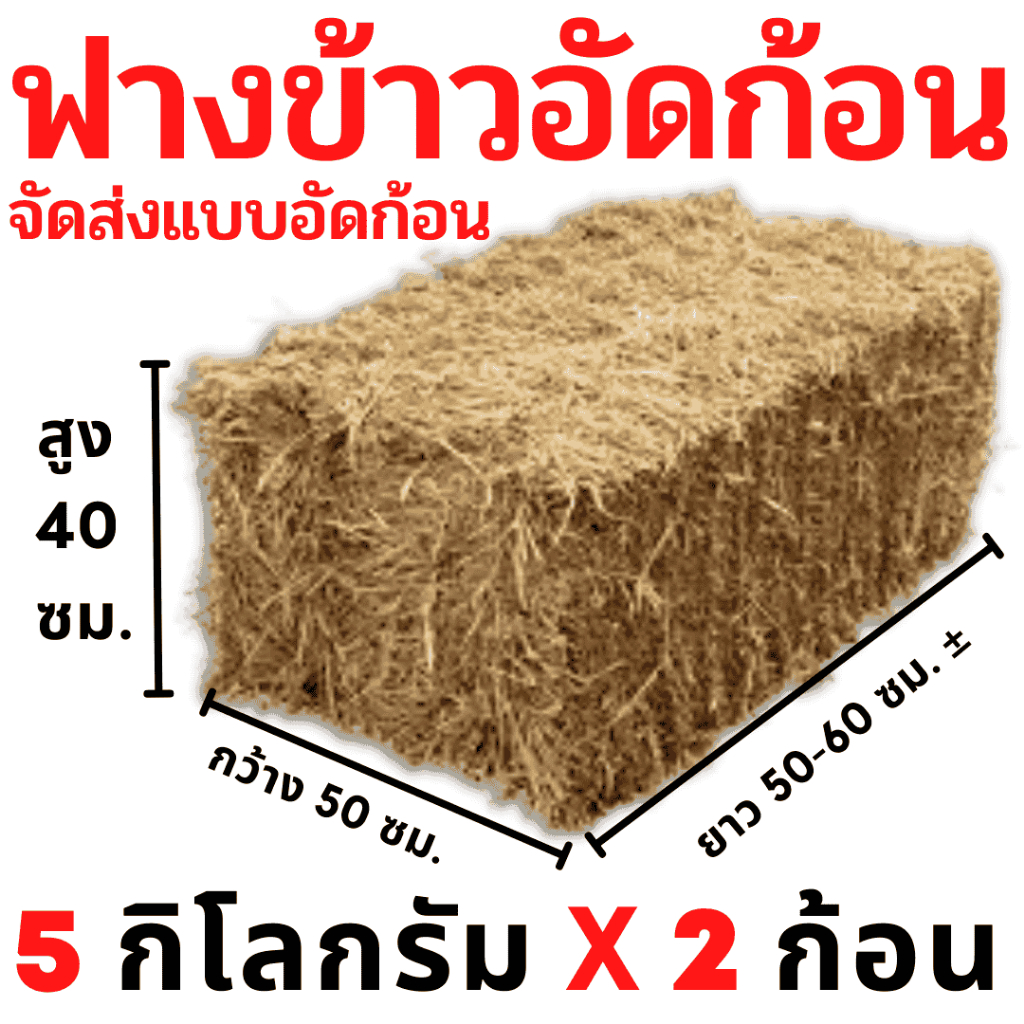 ฟาง ฟางข้าว ฟางข้าวอัดก้อน 5 กิโลกรัม ส่งจากนครปฐม ราคาสวนมาเอง ไม่ชื้น ไม่เก่า ไม่ราขึ้น สดใหม่