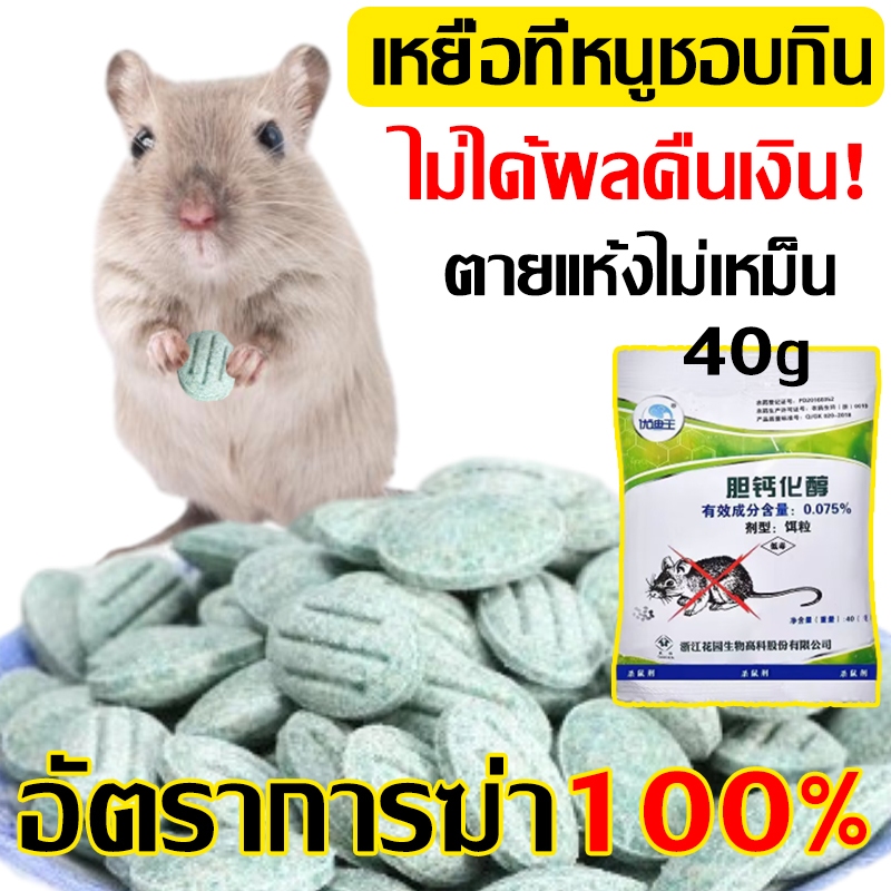 🐭ยาเบื่อหนู ตายใน1นาที🐭 เหยื่อกำจัดหนู ตายแห้ง ไม่เหม็น ไม่มีหนูทั้งปี ยากำจัดหนู ไล่หนู ยาเบื่อหนูแห้ง(หนูชอบมาก)