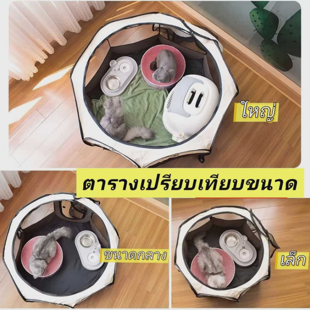 รูปภาพ 2