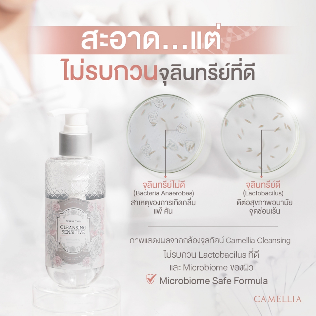คลีนซิ่ง Probiotic เจลล้างจุดซ่อนเร้น หอมนุ่ม CAMELLIA คลีนเซอร์น้ำยาล้าง เพื่อสุขภาพอนามัยน้อง - 4