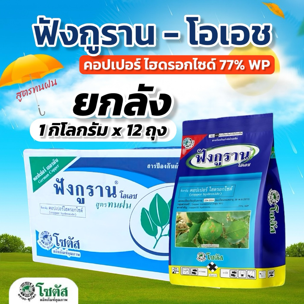 ฟังกูราน โซตัส (ยกลัง 1 กิโลกรัม x 12 ถุง)