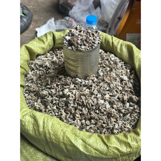 เห็ดต๊อบ  เห็ดแครง หรือ (เห็ดตีนตุ๊กแก)อบแห้ง ของป่าหาทานยาก…