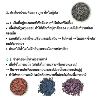 หินภูเขาไฟ ลาวาร็อค Lava Rock ตกแต่งตู้ปลา เพิ่มแบคทีเรียดี เพิ่มออกซิเจนในน้ำ