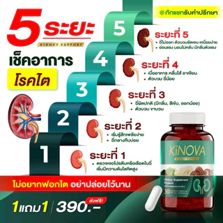 (1 แถม 1 กระปุก) คิโนว่า Kinova ผลิตภัณฑ์เสริมอาหาร กระปุกละ 30 แคปซูล
