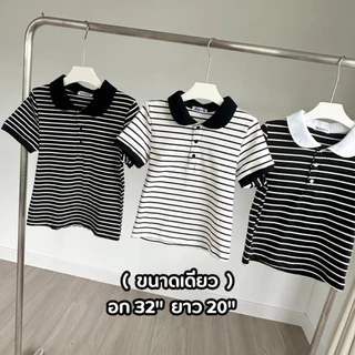 Hana Top เสื้อโปโลคอบัวลายริ้ว ทรงสวย ผ้านุ่ม อกก่อนยืด 32 นิ้ว (ขนาดเดียว)