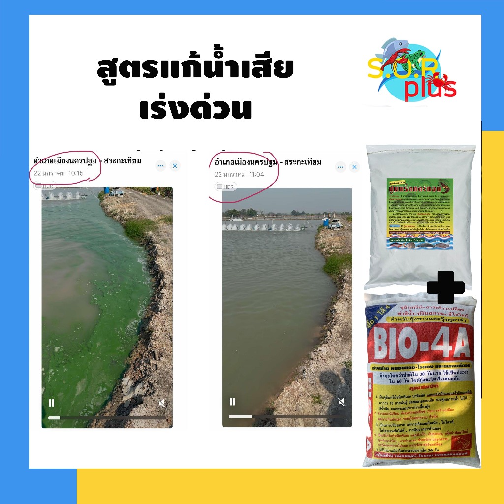 Bio 4A ไบโอ4เอ เพื่อสร้างแพลงก์ตอน กระตุ้นพื้นบ่อให้ฟื้นตัว สร้างแหล่งอาหารธรรมชาติ ไรแดง สร้างน้ำสีเขียวธรรมชาติ - รูปที่ 5