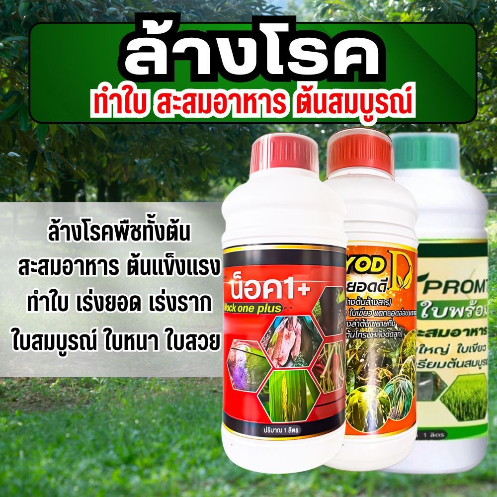 ชุดล้างโรค สะสมอาหาร บำรุงต้น บำรุงราก เตรียมต้นพร้อมทำดอกและผล ด้วยสูตรน็อควันพลัส ดันยอดดี ใบพร้อม