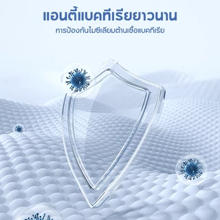 KUCADI ที่นอนสปริง หนา 13 นิ้ว 90/150/180cm สัมผัสเย็น 100% เกรดพรีเมียม คืนตัวรวดเร็ว เงียบไร้เสียง