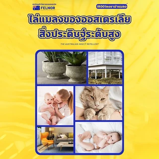 100ปีไม่มีปลวก ยาฆ่าปลวก กำจัดได้ทุกสายพันธุ์ กำจัดปลวก กำจัด+ป้องกัน ยาปลวก ทำลายรังได้อย่างสิ้นซาก น้ํายาปลวก ฉีดปลวก