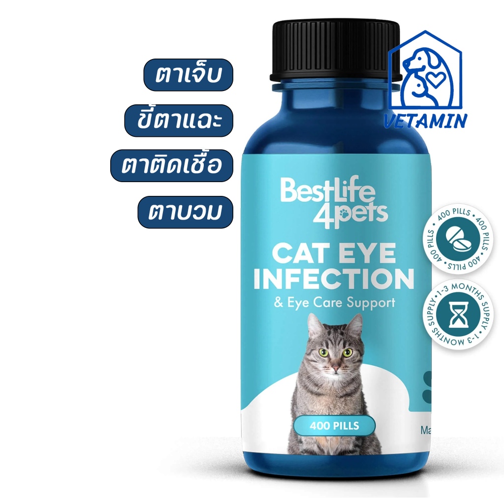 [20 เม็ด ส่งฟรี] พร้อมส่ง สำหรับแมว ตาแดง บวม แฉะ คันตา Exp.12/29