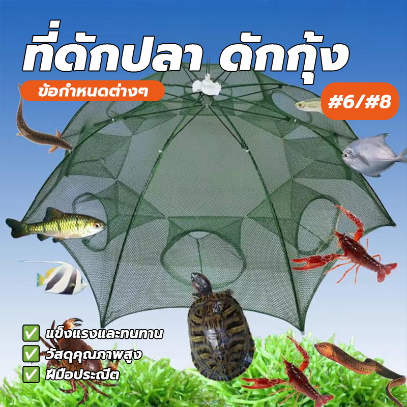 ตาข่ายดักกุ้งและปลาชนิดนี้มีความแข็งแรงทนทาน ไม่ต้องติดตั้ง และไม่เสียหายง่าย เหมาะสำหรับการตกปลาเพื่อความบันเทิง