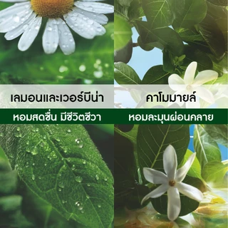 [แพ็คคู่] อีฟ โรเช Yves Rocher Lemon Verbena & Chamomile Refreshing Bath & Shower Gel 400ml. เจลอาบน้ำหอมสดชื่น