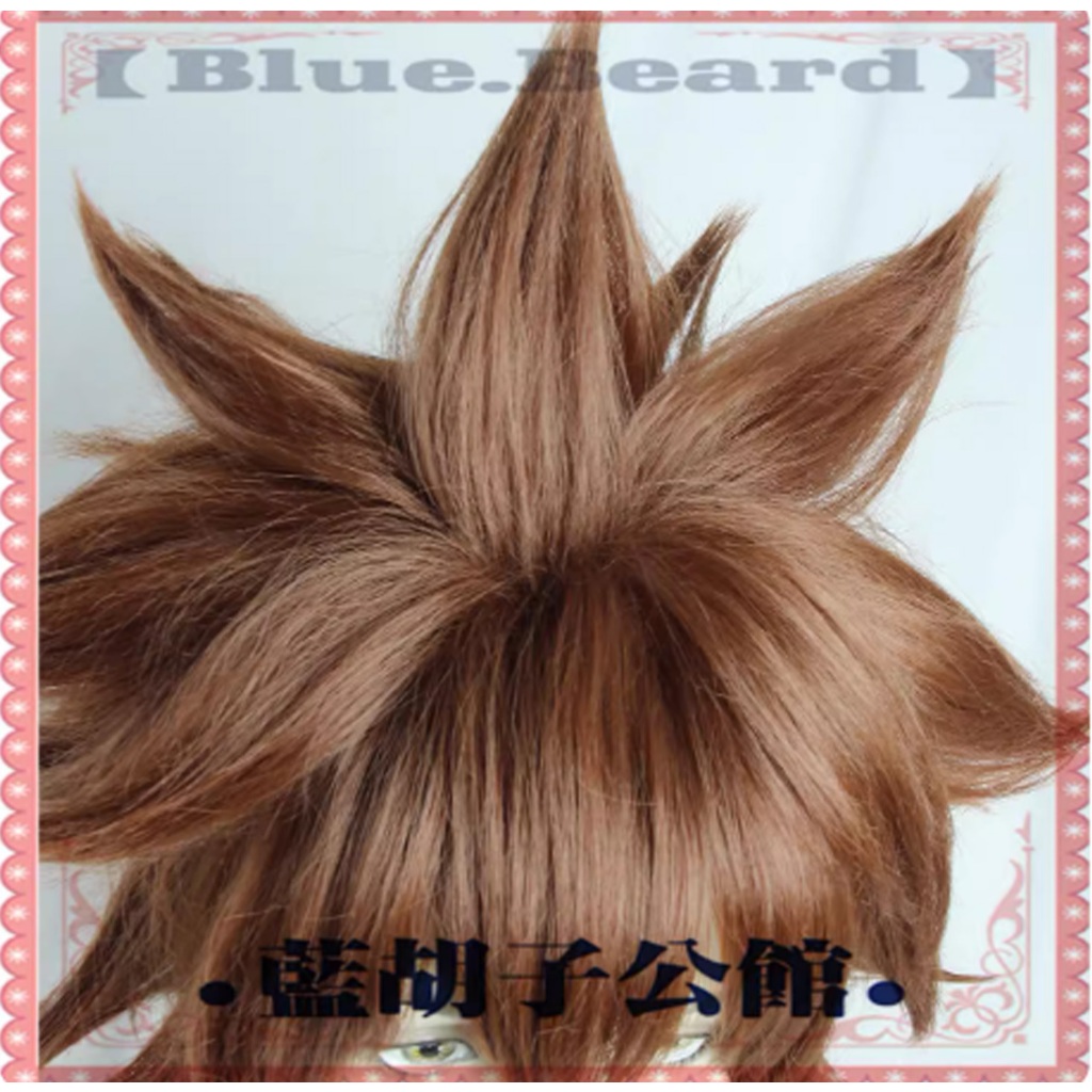 วิกผมสึนะ รีบอน REBORN Cosplay