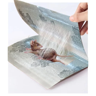 【10pcs】กาวดักหนู แผ่นกาวดักหนูสำเร็จรูป พร้อมถาด ที่ดักหนู