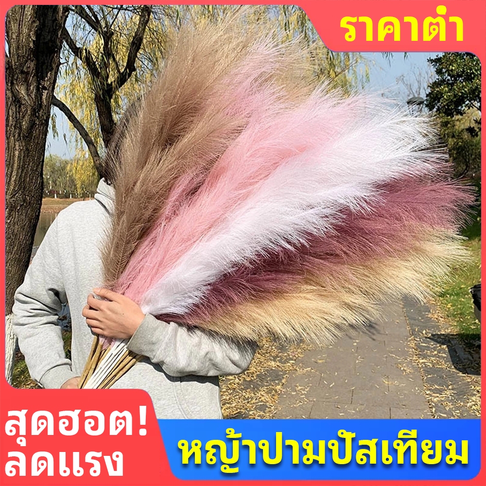 Faux Pampas Grass Decor สูง 56 ซม.ปลอม Pompas ดอกไม้ขนาดใหญ่ประดิษฐ์ Pompous ดอกไม้สาขา