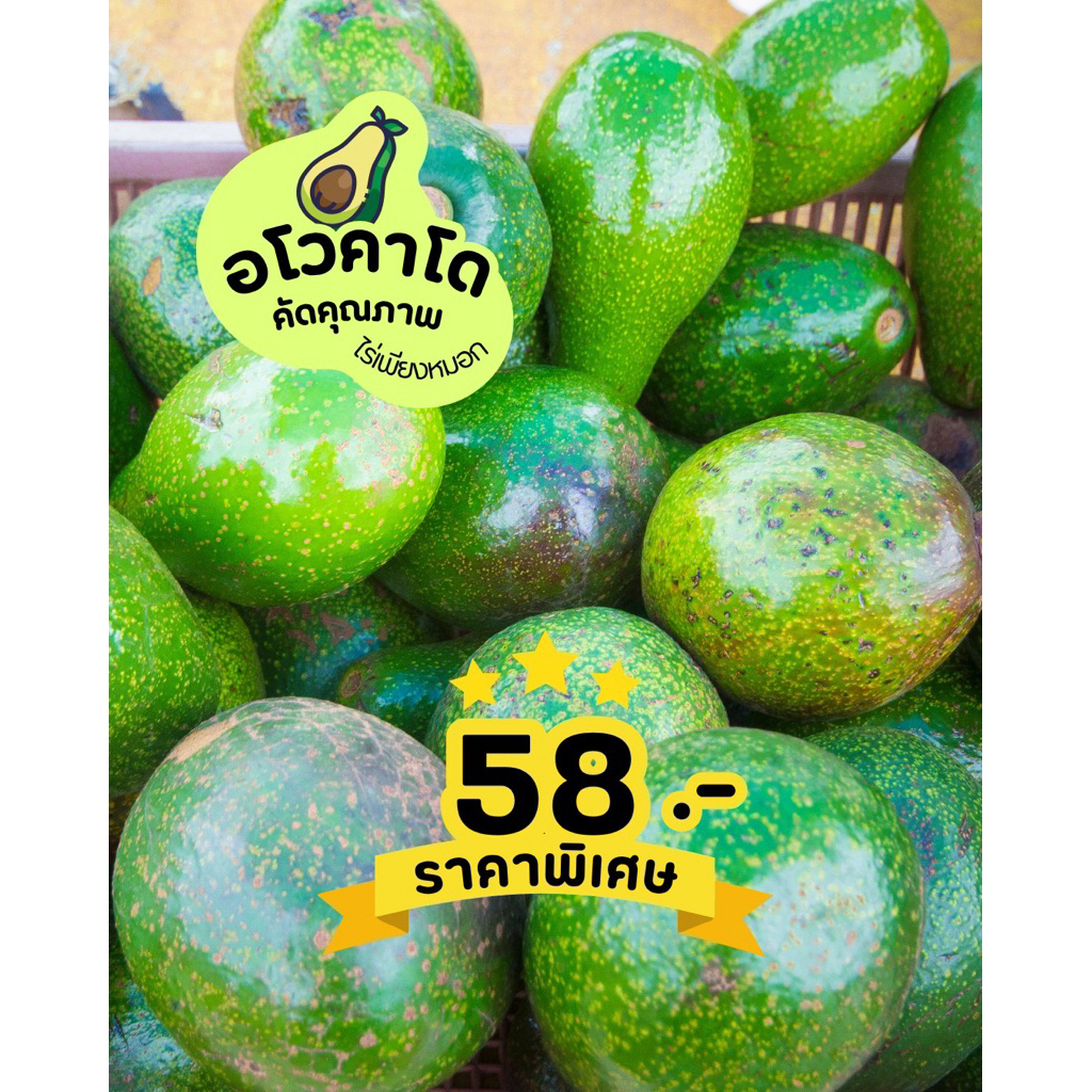 อโวคาโด [กล่อง 2 กิโลกรัม] พื้นเมือง บัคคาเนีย บูส7 สดจากสวนอร่อยมันมาก