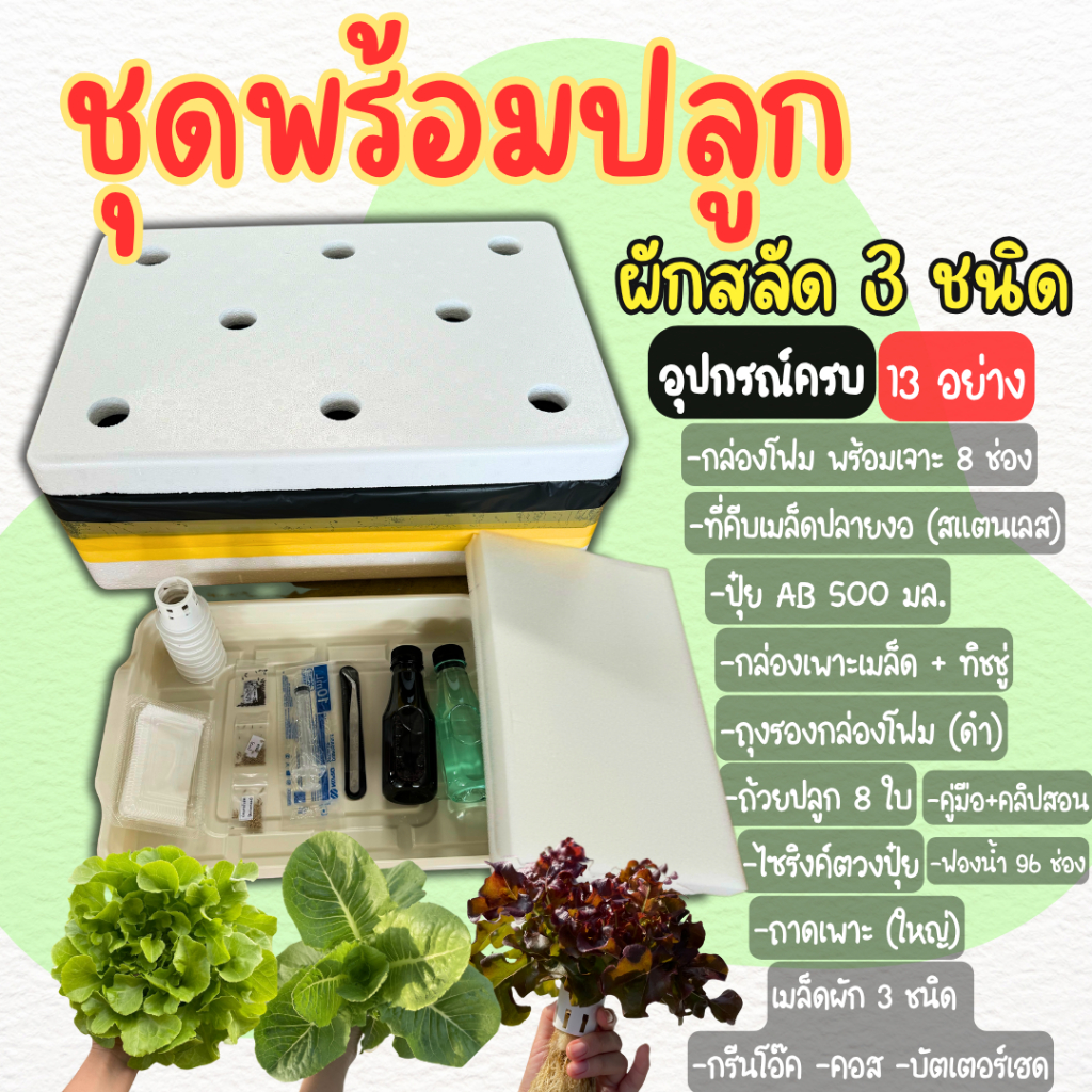 ชุดปลูกผักไฮโดรโปนิกส์ ครบชุดพร้อมปลูก ชุดปลูกผักสลัด (แถมเมล็ดผัก 3 ชนิด)