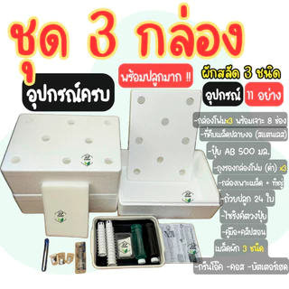 ชุดใหญ่ (กล่องโฟม 3 ใบ) ชุดปลูกผักสลัดไฮโดรโปนิกส์