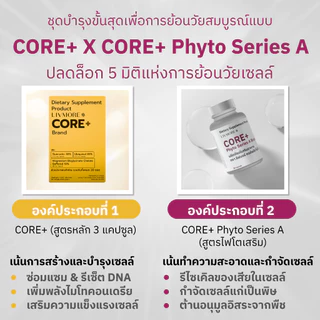 LIVMORE Phyto Series A+B | เซ็ตคู่กู้เซลล์เสื่อม (Autophagy) | ปรับฮอร์โมน ย้อนวัยระดับ DNA|ปรับสมดุลระบบเผา