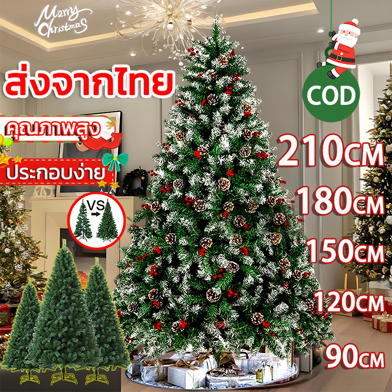 หนาแน่นที่สุด🎄คริสต์มาสขนาดใหญ่🎄90-210CMวัสดุPVCไม่มีผงหลุดต้นคริสต์มาสคริสมาสต์ต้นคริสต์มาสปลอมต้นคริสมาส christmastree