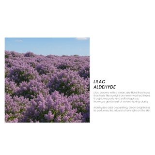 so aesthetic | bavvy. (30 ml)