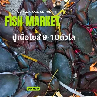 ปูเนื้อ ไซส์9-10ตัวโล คัดเนื้อแน่นๆปูธรรมชาติ หน้าร้านอยู่ กทม