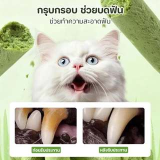 PETStar1🥇ขนแมวธรรมชาติ🥇 ไม่ง้อหมอ! วีแกนมัดขน ลดก้อนขน แบบออร์แกนิค สูตรเสริมไฟเบอร์ ดีต่อระบบย่อย
