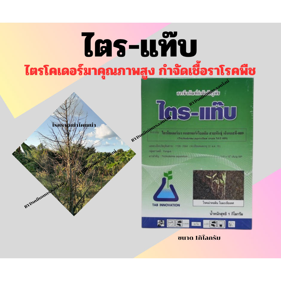 ไตร-แท๊บ ขนาด1กิโล  ไตรโคเดอร์มา แอสเพอร์เรียลลัม สายพันธุ์NST-009  สารชีวภัณฑ์กำจัดโรคพืช โรครากเน่