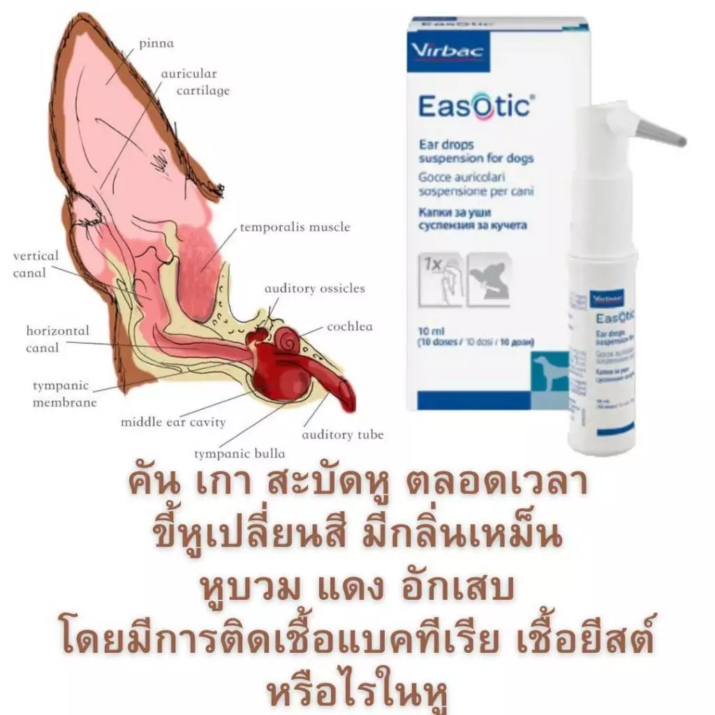 Virbac น้ำยาทำความสะอาดหู สูตรลดยีสต์ ขจัดกลิ่น และไรหู สำหรับสุนัข แมว