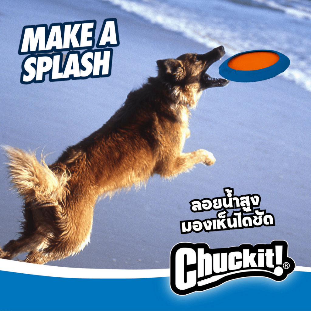 Chuckit! صحن طائر Ultra Flight للكلاب — صورة 4