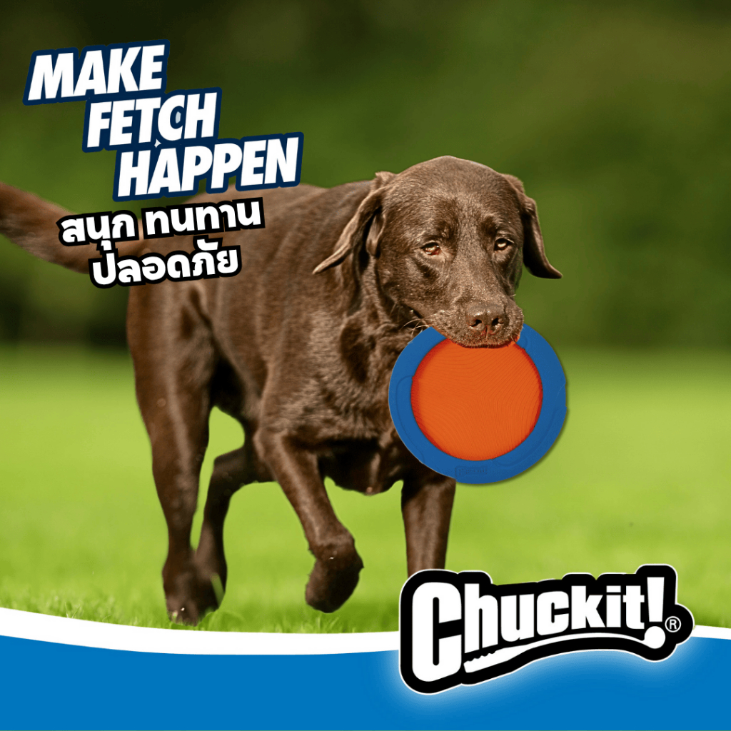 Chuckit! صحن طائر Ultra Flight للكلاب — صورة 5