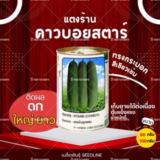 เมล็ดพันธุ์แตงร้าน คาวบอย แตงร้านลูกผสม เมล็ดพันธุ์ ผักสวนคร…